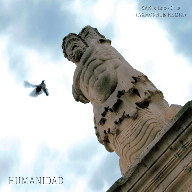 Humanidad - Remix