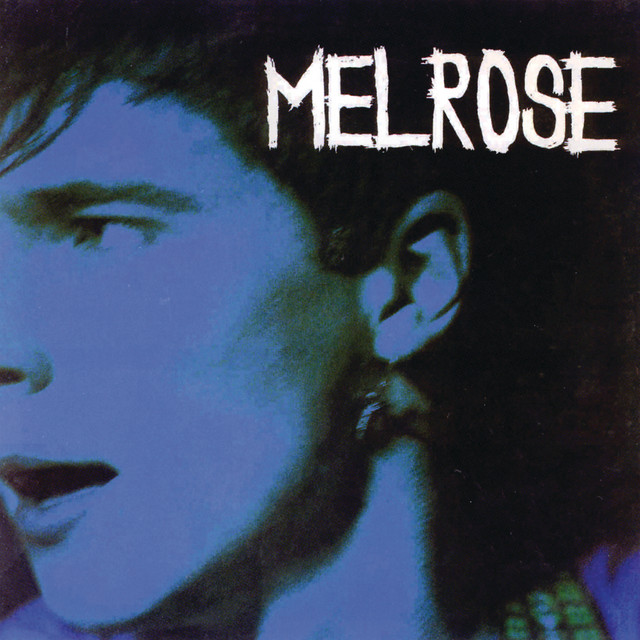 Melrose / Another piece of cake cover art