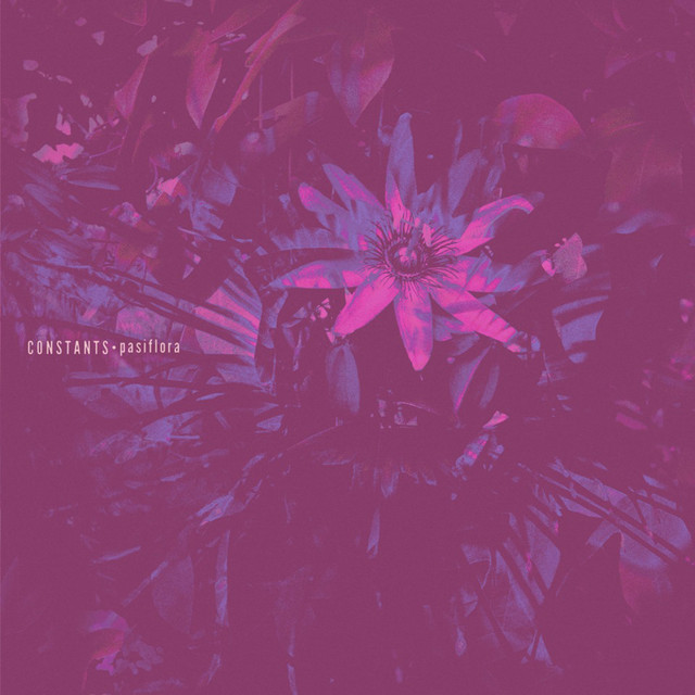 Pasiflora cover art