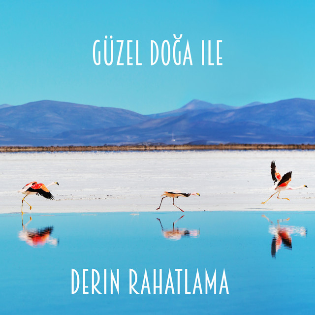 Güzel Doğa ile Derin Rahatlama cover art