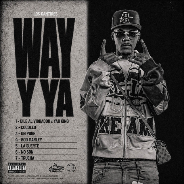 WAY Y YA cover art