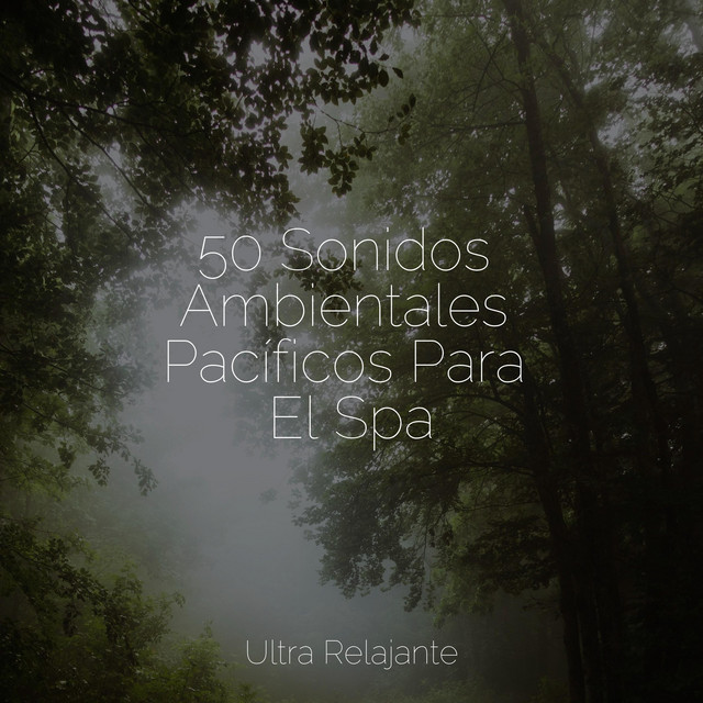 50 Sonidos Ambientales Pacíficos Para El Spa cover art