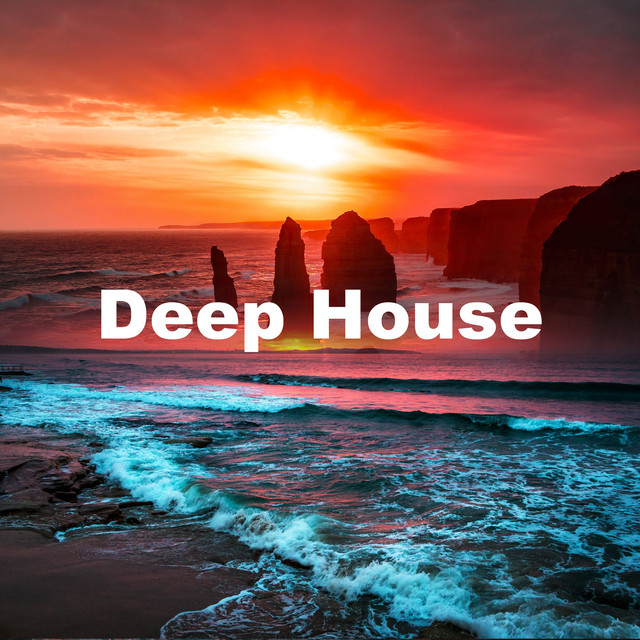 DEEP DISKO. HOUSE. 他レコード50枚まとめ売り② HOUSE.