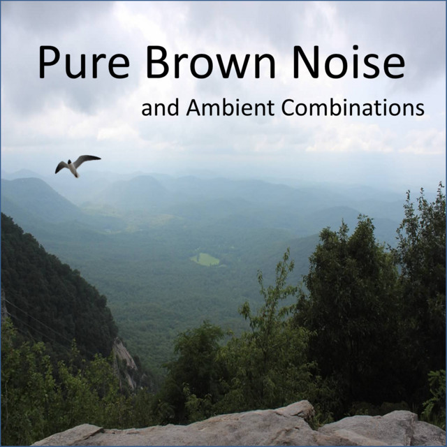 Brown Noise Universe