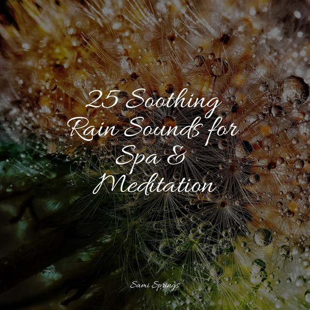 25 Soothing Rain Sounds for Spa & Meditation - Album by Lluvia | Spotify