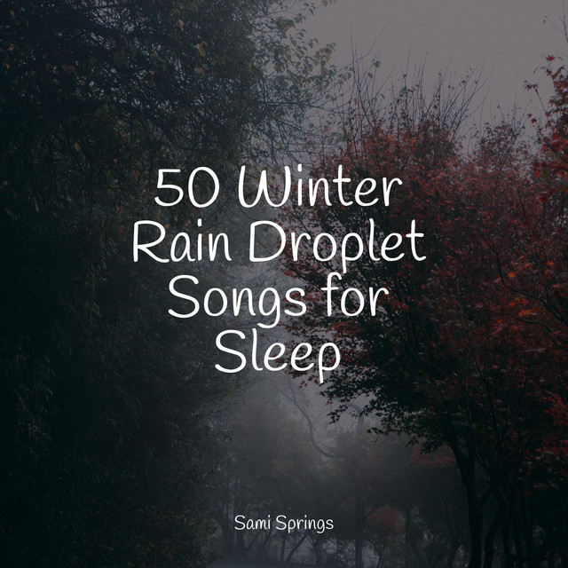 50 Winter Rain Droplet Songs for Sleep - Album by Sounds Of Nature ...