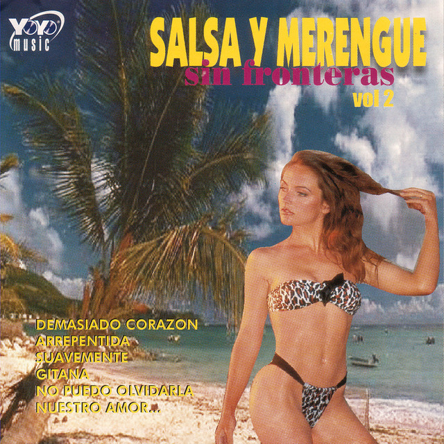 Salsa Y Merengue - Sin Fronteras Vol. 2 cover