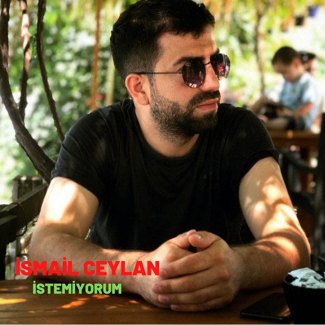 İstemiyorum - Single by İsmail Ceylan | Spotify