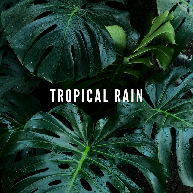 Tropical Rain cover art