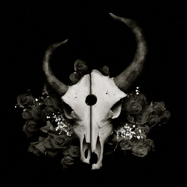 Thin Air cover art