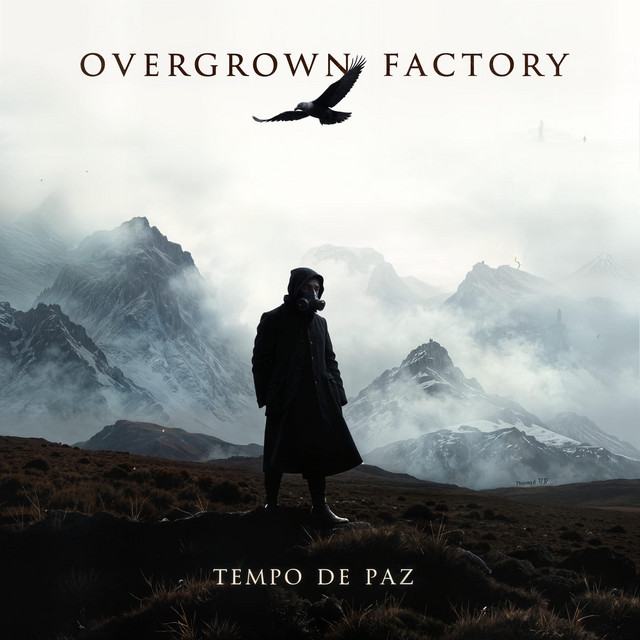 Tempo de Paz cover art