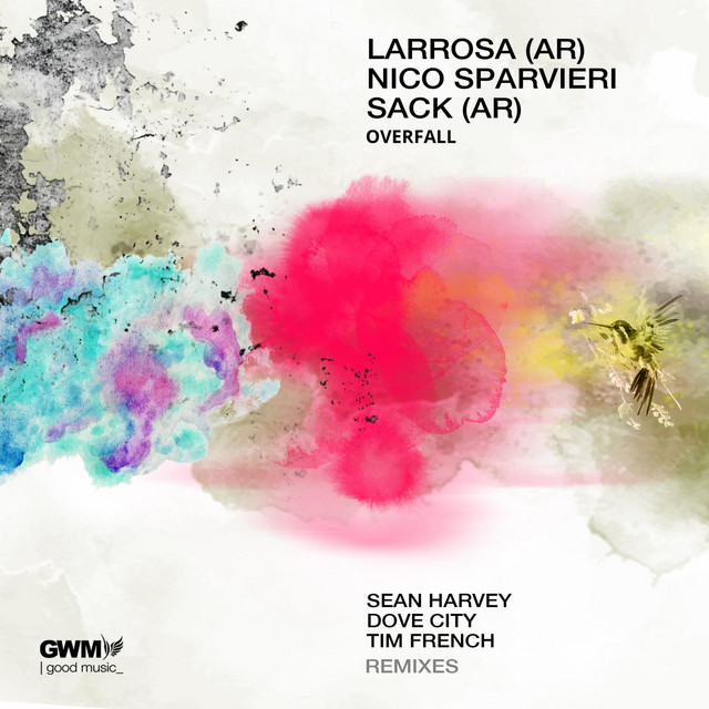 Overfall - Sean Harvey Remix album art