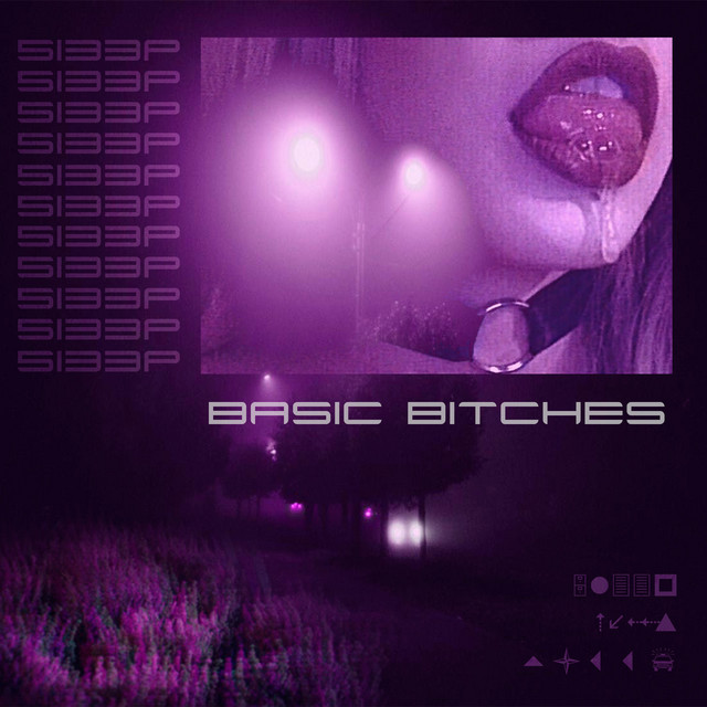 Basic Bitches cover art