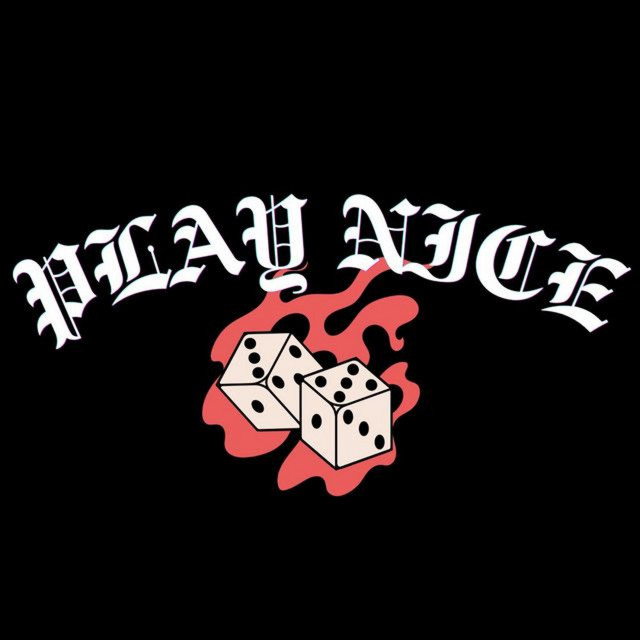 Play Nice cover art