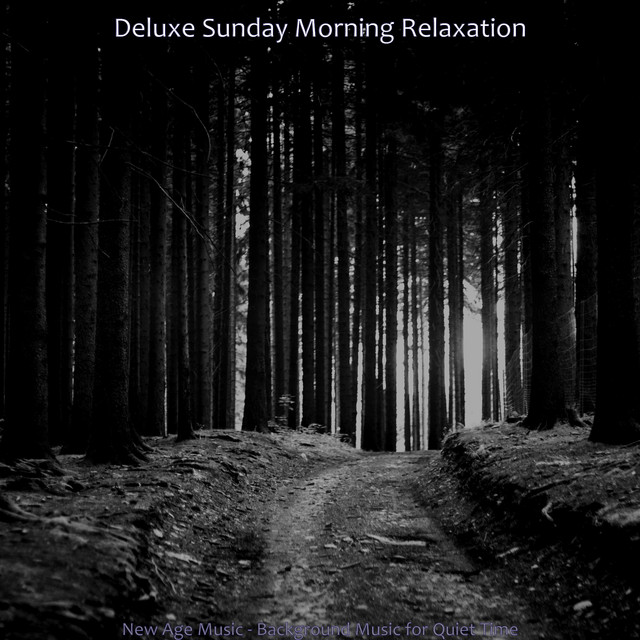 New Age Music - Background Music for Quiet Time cover art