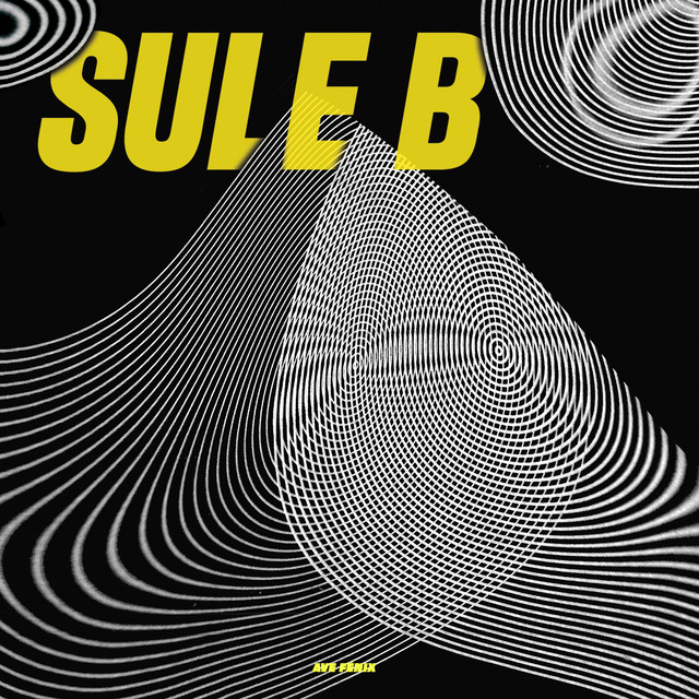 Cover of Ave Fénix by Sule B