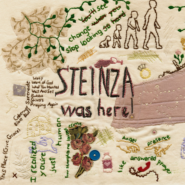 Steinza Was Here! cover art