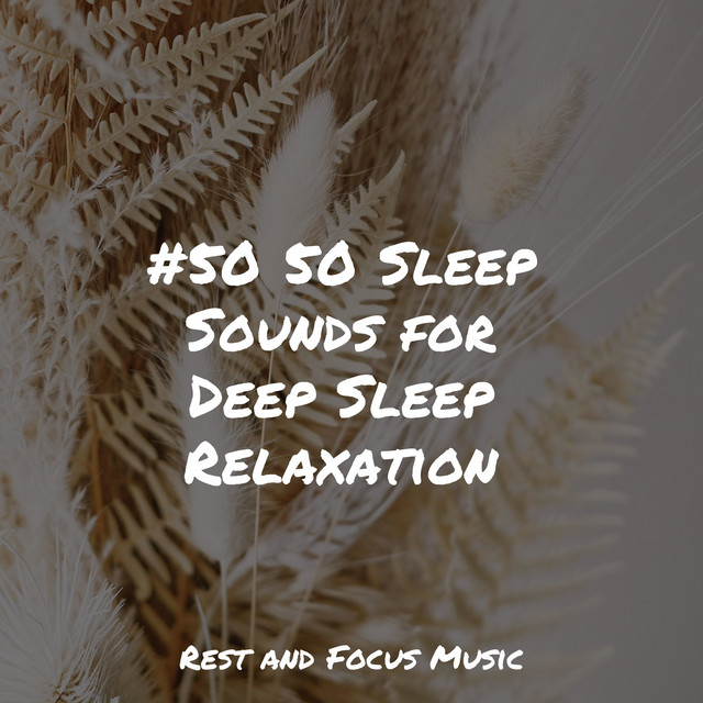 #50 50 Sleep Sounds for Deep Sleep Relaxation - Album by Spa Brainwave ...