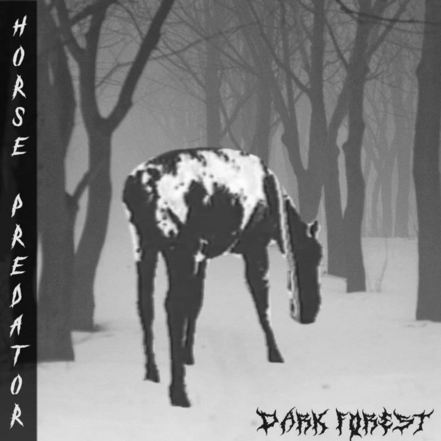 Обкладинка Horse Predator — Dark Forest
