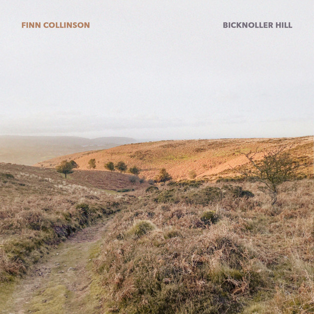 Bicknoller Hill