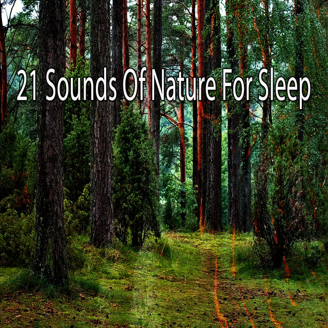 21 Sounds Of Nature For Sleep - Album by Nature Sounds Nature Music ...