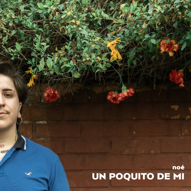 un poquito de mi cover art