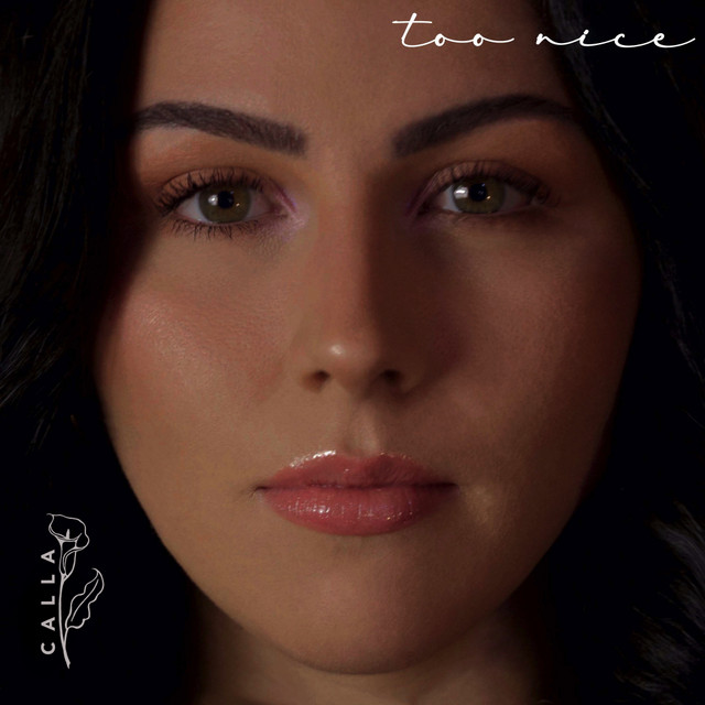 TOO NICE cover art