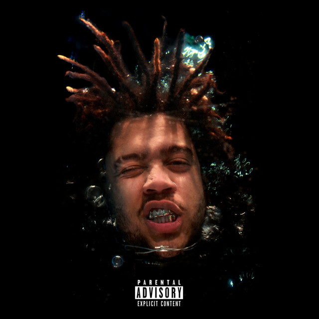Viccens cover art