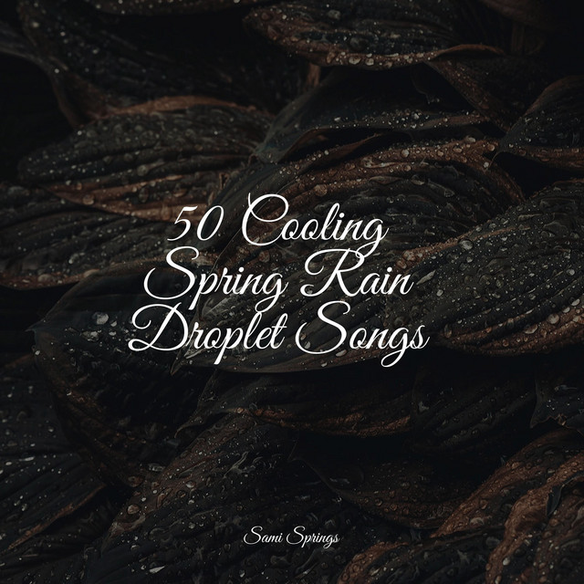 50 Cooling Spring Rain Droplet Songs - Album by Rainfall For Sleep ...