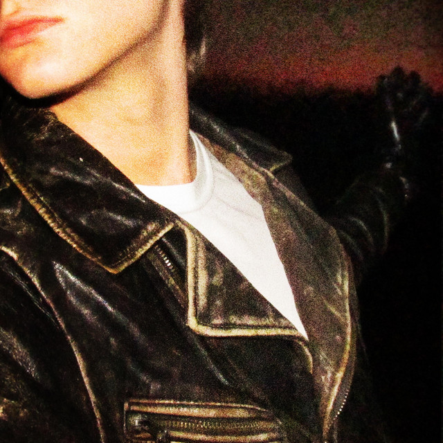 Leather cover art