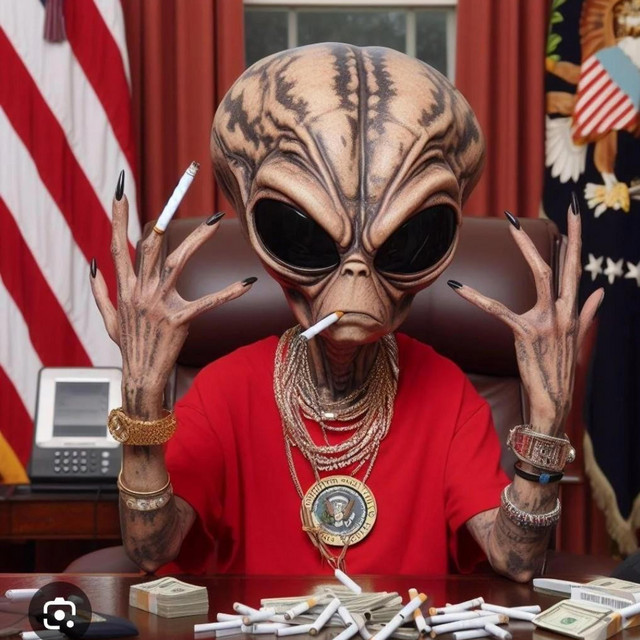 The Undocumented Alienz