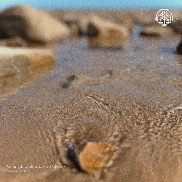 Обкладинка: Walk on Water — Grungik