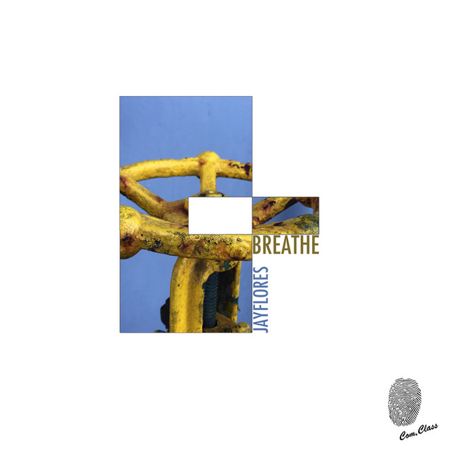 Breaking cover art