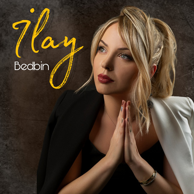 Bedbin cover art