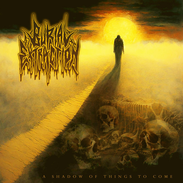 A Shadow Of Things To Come cover art
