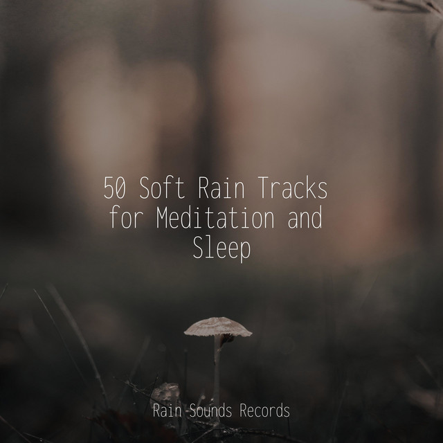 50 Soft Rain Tracks for Meditation and Sleep - Album by Zen Music ...