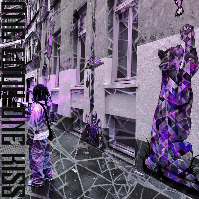 one look one kiss cover
