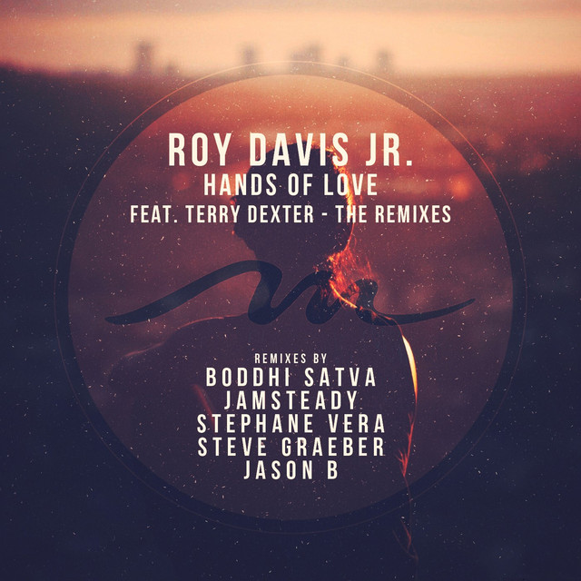 Hands Of Love - Stephane Vera Remix cover art