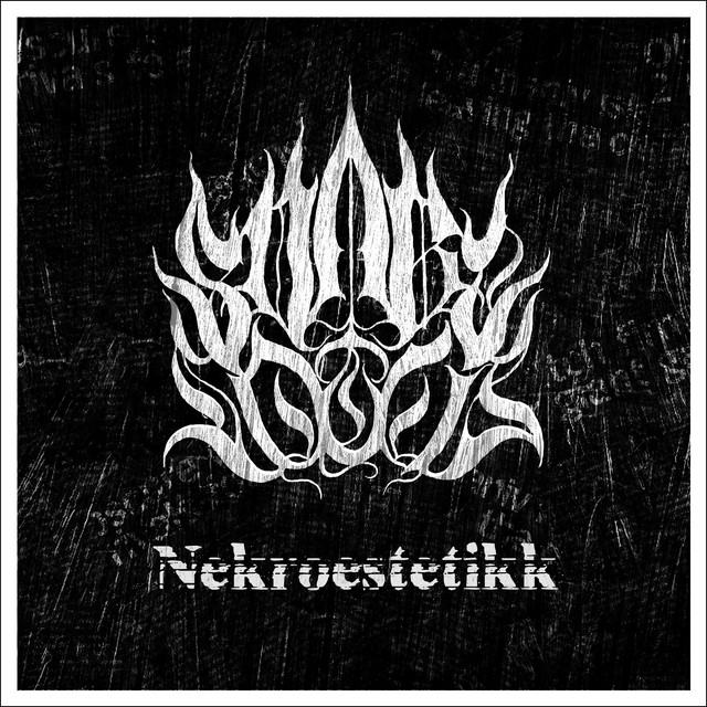 Nekroestetikk cover