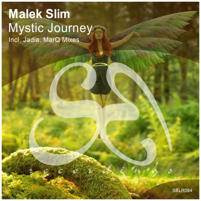 Mystic Journey cover art