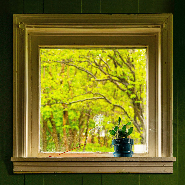 Rear Window cover