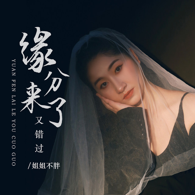 姐姐不胖