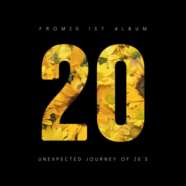 20 cover art