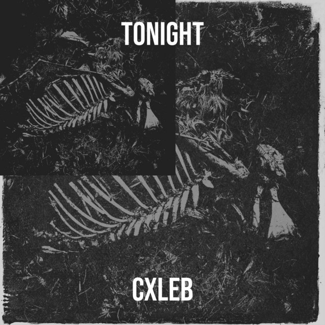 Tonight cover