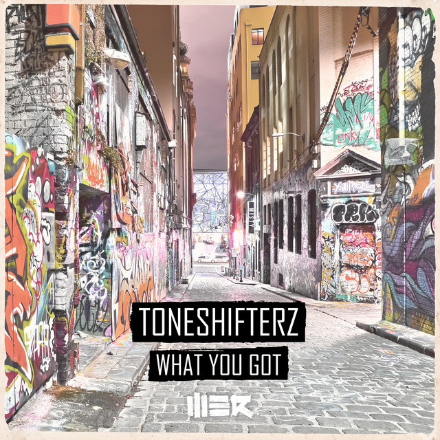 What You Got - Extended Mix album art