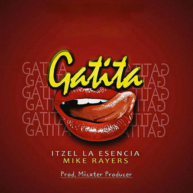 Gatita