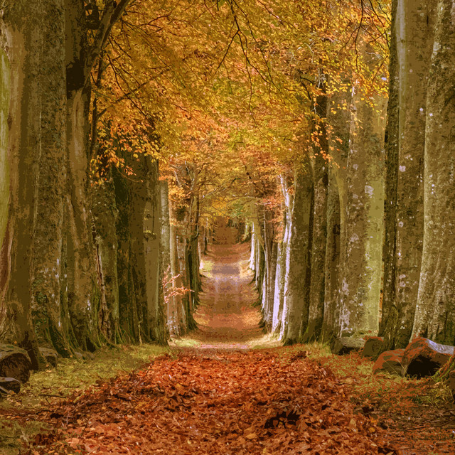 Alley of Trees, Pt. 2 cover art