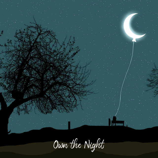 Own the Night cover art
