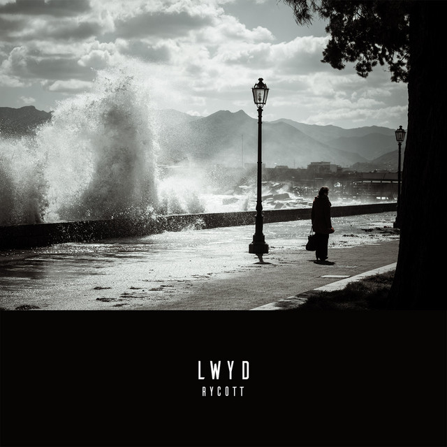 LWYD cover art