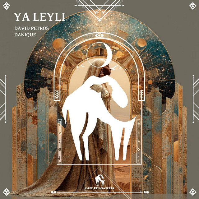 undefined album image